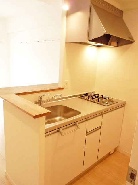 Kitchen. Kitchen (2 lot gas stoves)