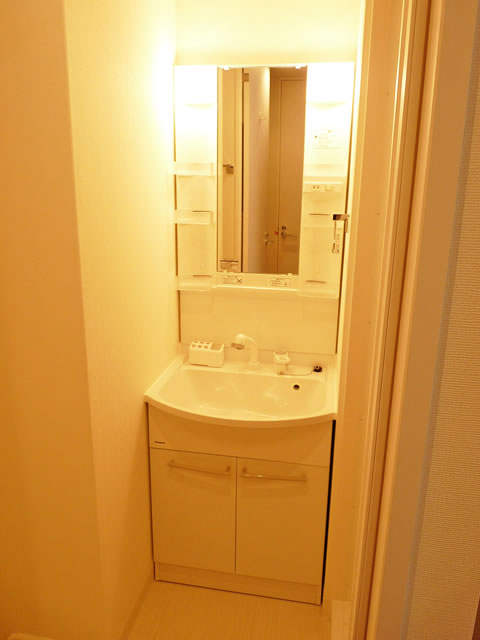 Washroom. Bathroom vanity