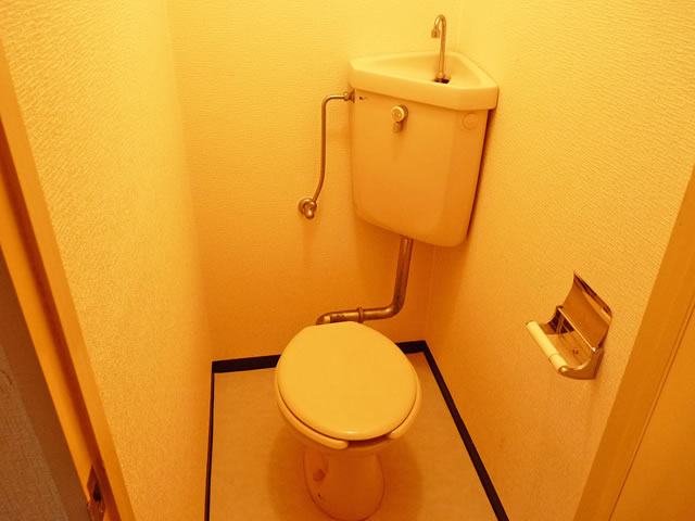 Toilet. Toilet