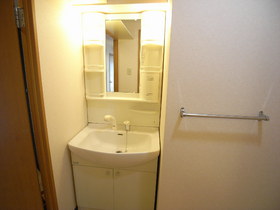 Washroom. Bathroom Vanity