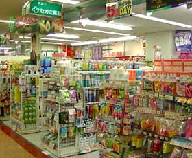 Dorakkusutoa. Drag Segami Ohashi shop 809m until (drugstore)