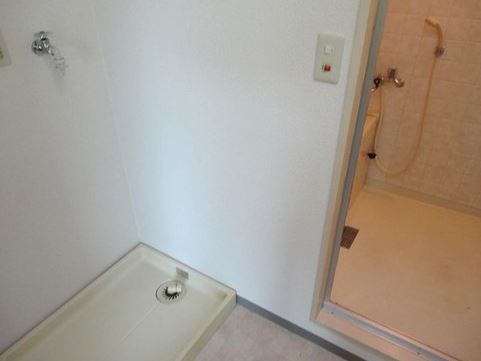 Washroom. Washing machine in the room