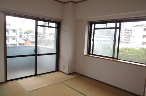 Other room space. Japanese-style two-sided lighting