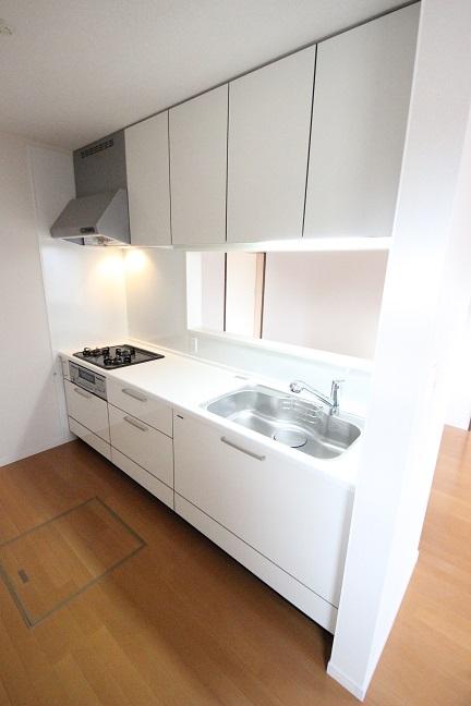 Kitchen. Indoor (11 May 2013) Shooting