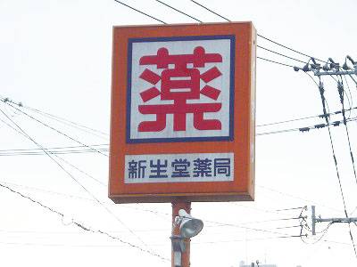 Dorakkusutoa. (Ltd.) Shinseido pharmacy Minamiten 248m to (drugstore)