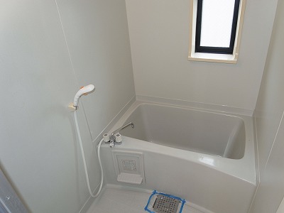 Bath. Window bathtubs!