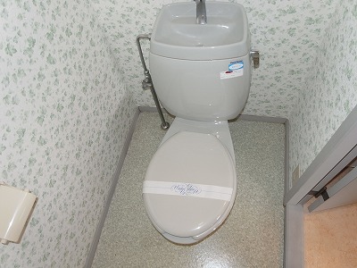 Toilet