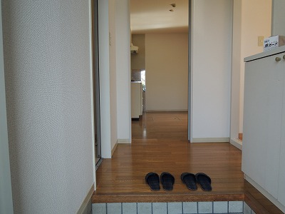 Entrance. Entrance with a shoe box