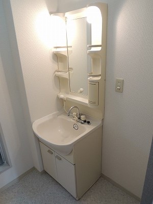 Washroom. Washbasin with shower Pat busy morning