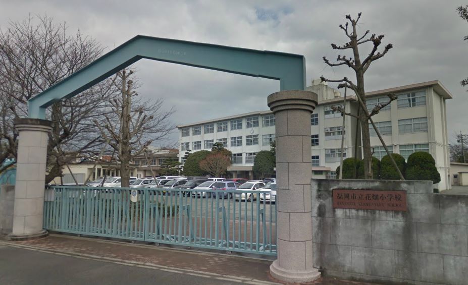 Primary school. Flower garden 230m up to elementary school (elementary school)