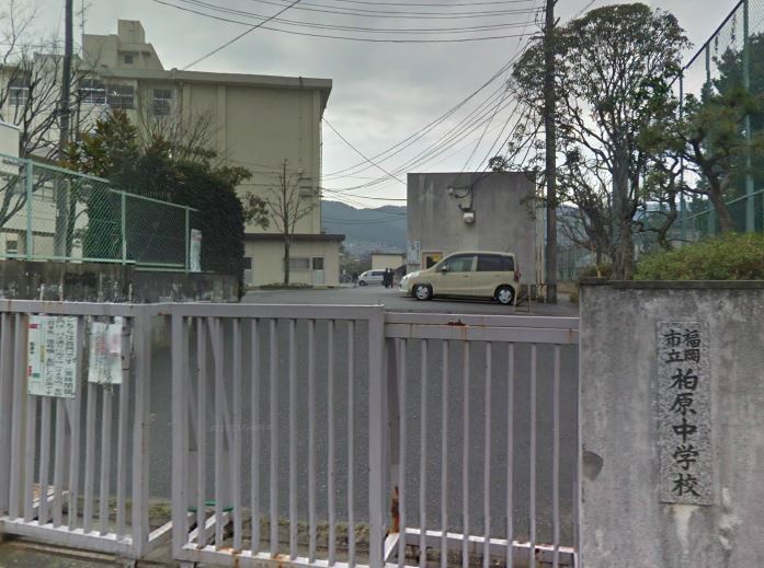 Junior high school. Kashiwabara 220m until junior high school (junior high school)