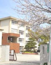 Junior high school. Kashiwabara 550m until junior high school (junior high school)