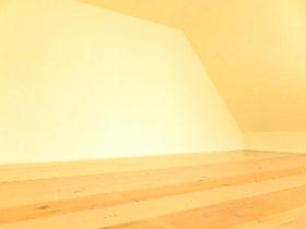 Other. Lighted loft!