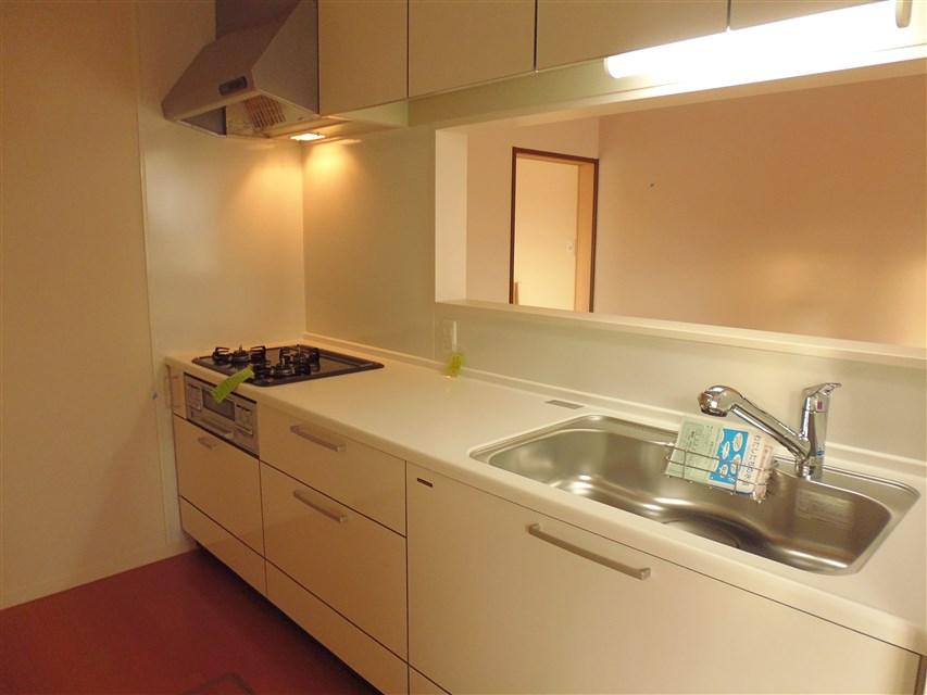 Kitchen. System kitchen