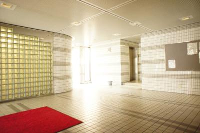 Entrance. Luxurious entrance