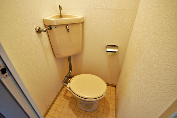 Toilet. Toilet