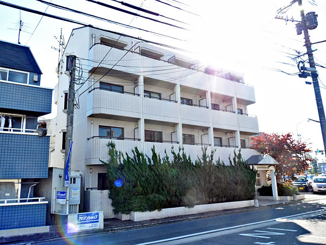 Building appearance. appearance