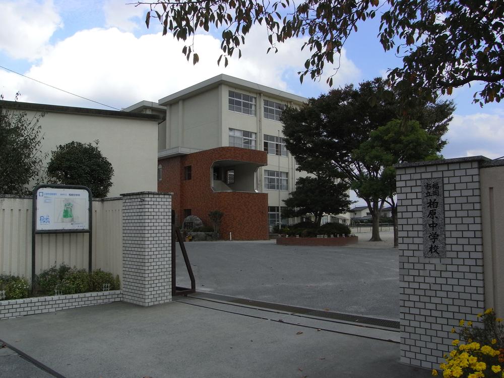 Junior high school. Fukuoka 400m to stand Kashiwabara junior high school