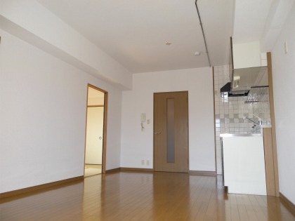 Living and room. Spacious living room