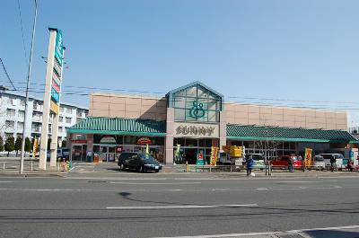 Other. Sunny in front of the eye