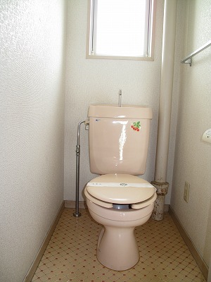 Toilet. Cleaning toilet seat will be established