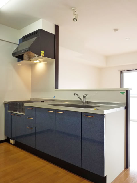 Kitchen. Counter Kitchen