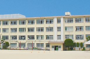 Primary school. Pressed until the elementary school (elementary school) 550m