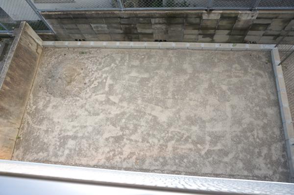 Garden. Local (10 May 2013) Shooting