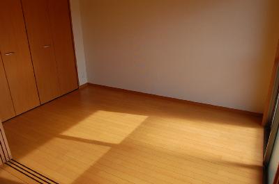 Other room space. Same property separate room photo. Western-style closet of large capacity with.