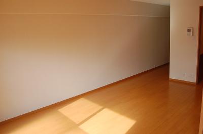 Living and room. Same property separate room photo. Also good lighting of the living part.