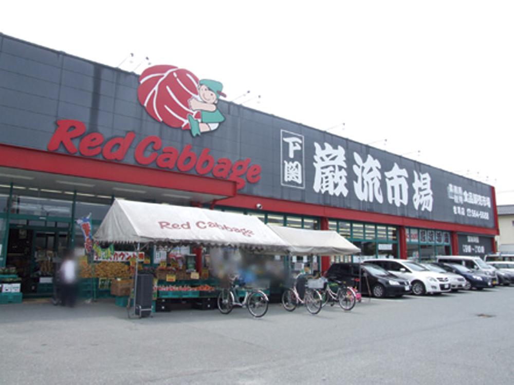 Supermarket. 580m to Red cabbage