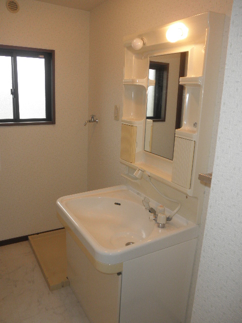 Other room space. Shampoo with Dresser