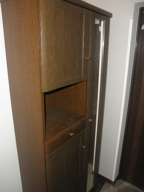 Washroom. It is a shoe box with a full-length mirror