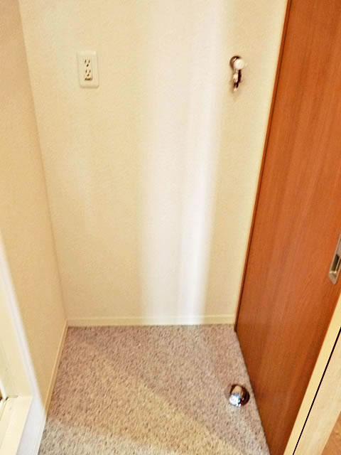 Washroom. Laundry Area