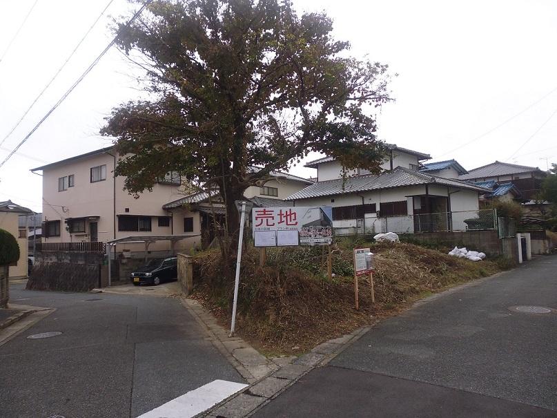 Other local. Local (11 May 2013) Shooting