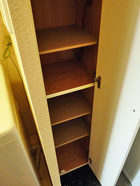 Entrance. Cupboard (isomorphic type)