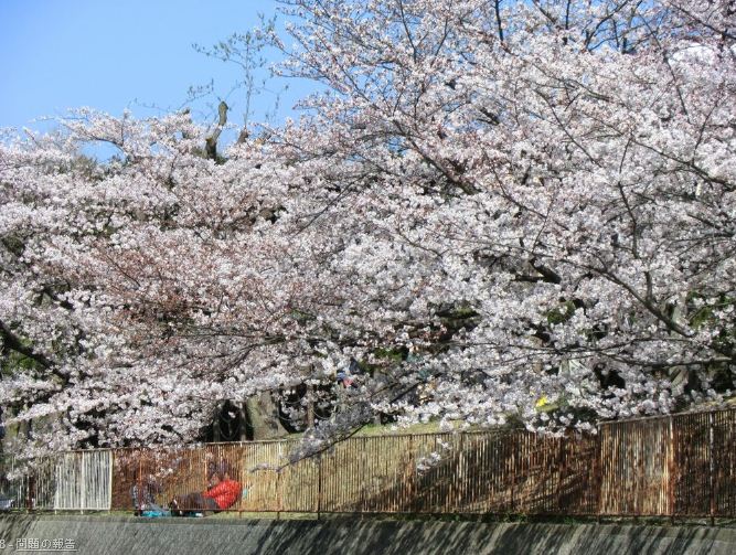 park. 270m to Noma Oike Park (park)