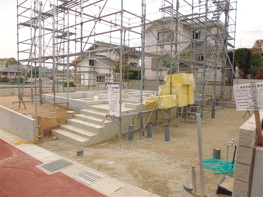 Local appearance photo. Local photo (2013 November 16, 2008)