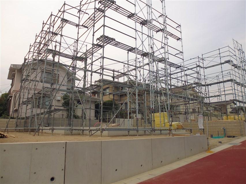 Local appearance photo. Local photo (2013 November 16, 2008)