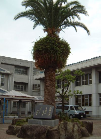 Primary school. 818m to Fukuoka Municipal GenHiroshi elementary school (elementary school)