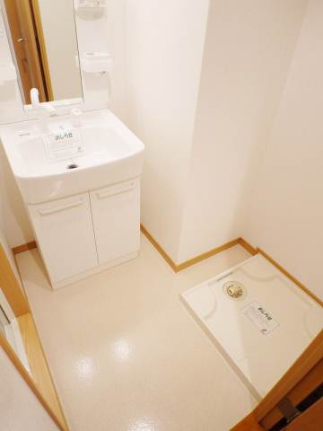 Washroom. There firmly basin dressing room