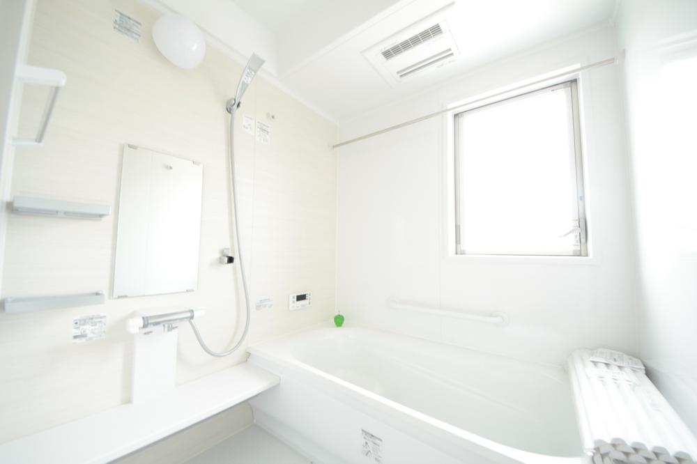 Bathroom. Local (September 2013) Shooting