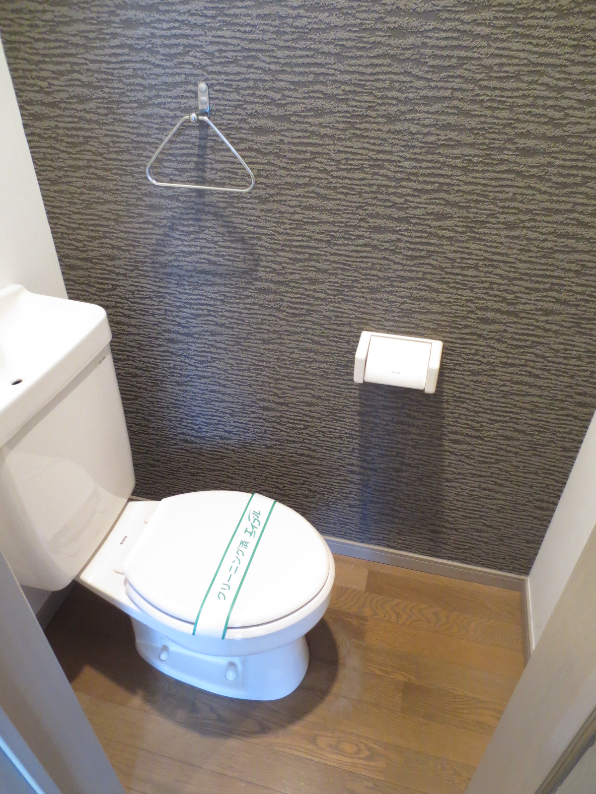 Toilet. Accent Cross is fashionable