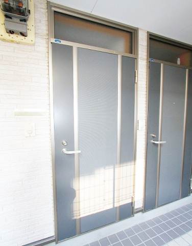 Entrance. Entrance door