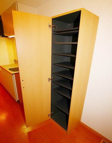 Receipt. Shoes is a box