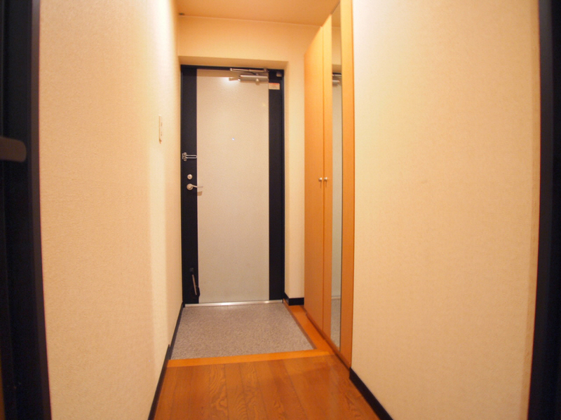 Entrance. Entrance also shoe box is also wide. 