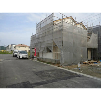 Local appearance photo. Appearance (before construction)