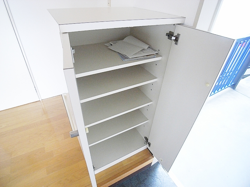 Entrance. There shoebox