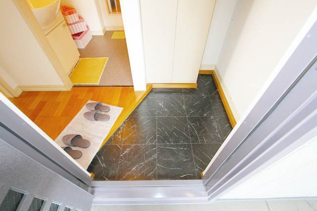 Entrance. It is the entrance part!