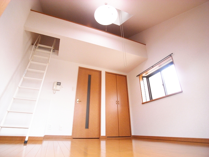 Living and room. This bright, two-sided lighting of the room!